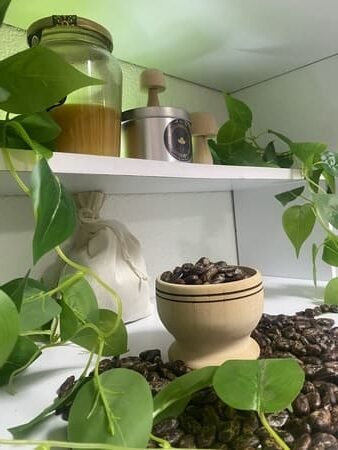 Granos de cacao en un tazón de barro, rodeado de plantas, de otros granos de cacao y de recipientes